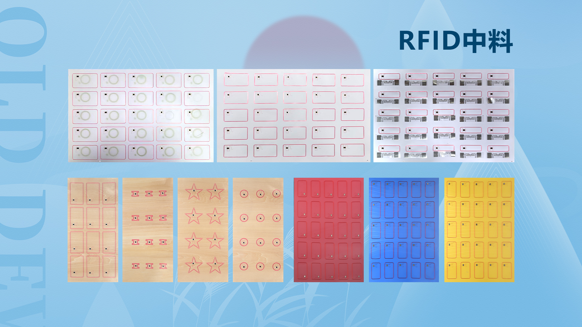 微信圖片_20250929105635_452_127